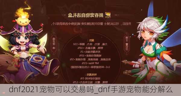 dnf2021宠物可以交易吗_dnf手游宠物能分解么