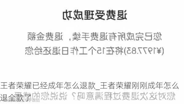 王者荣耀已经成年怎么退款_王者荣耀刚刚成年怎么退全款了