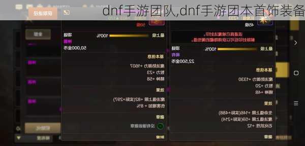 dnf手游团队,dnf手游团本首饰装备