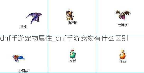 dnf手游宠物属性_dnf手游宠物有什么区别