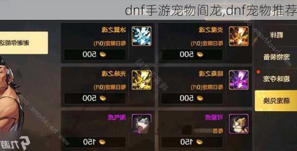 dnf手游宠物阎龙,dnf宠物推荐