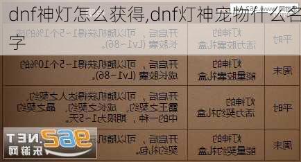 dnf神灯怎么获得,dnf灯神宠物什么名字