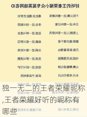 独一无二的王者荣耀昵称,王者荣耀好听的昵称有哪些