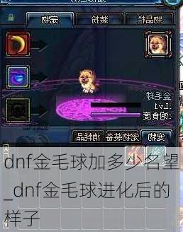 dnf金毛球加多少名望_dnf金毛球进化后的样子