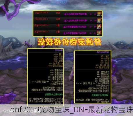 dnf2019宠物宝珠_DNF最新宠物宝珠