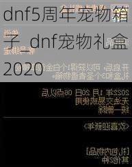 dnf5周年宠物箱子_dnf宠物礼盒2020