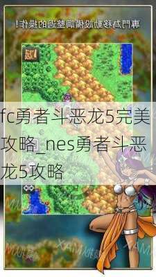 fc勇者斗恶龙5完美攻略_nes勇者斗恶龙5攻略