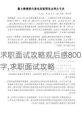 求职面试攻略观后感800字,求职面试攻略