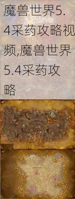 魔兽世界5.4采药攻略视频,魔兽世界5.4采药攻略