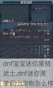 dnf宝宝迷你黑暗武士,dnf迷你黑暗武士宠物怎么样