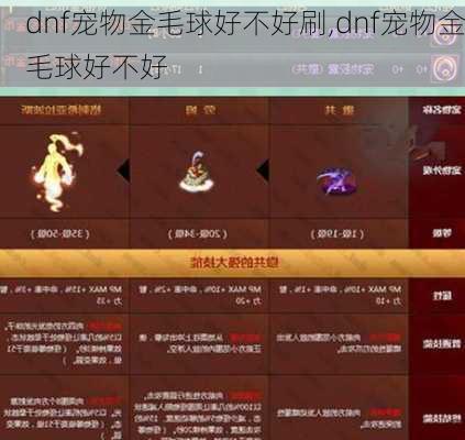 dnf宠物金毛球好不好刷,dnf宠物金毛球好不好