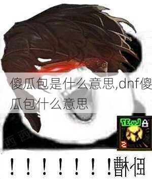 傻瓜包是什么意思,dnf傻瓜包什么意思