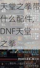 天堂之拳带什么配件,DNF天堂之拳