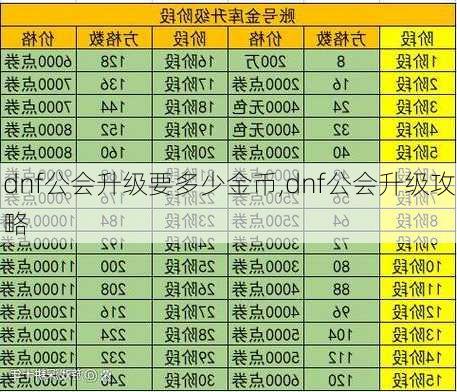 dnf公会升级要多少金币,dnf公会升级攻略