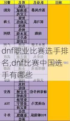 dnf职业比赛选手排名,dnf比赛中国选手有哪些