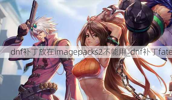 dnf补丁放在imagepacks2不能用_dnf补丁fate