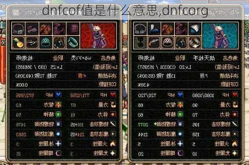 dnfcof值是什么意思,dnfcorg