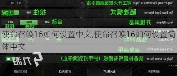 使命召唤16如何设置中文,使命召唤16如何设置简体中文