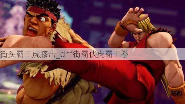 街头霸王虎膝击_dnf街霸伏虎霸王拳