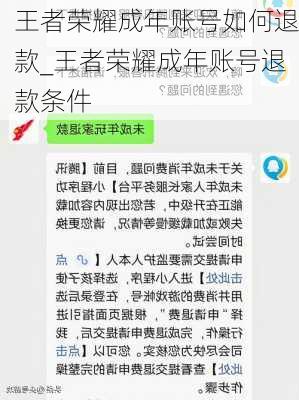 王者荣耀成年账号如何退款_王者荣耀成年账号退款条件