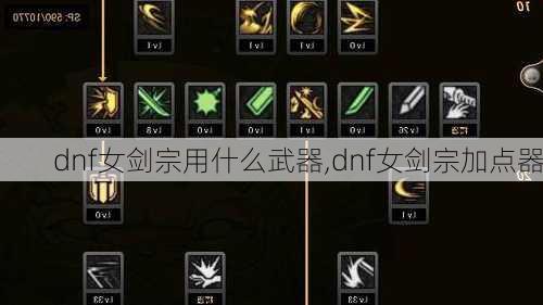 dnf女剑宗用什么武器,dnf女剑宗加点器