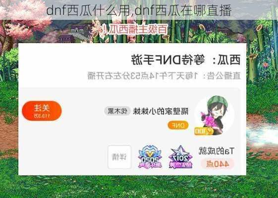 dnf西瓜什么用,dnf西瓜在哪直播