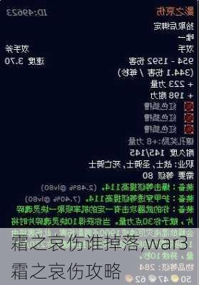 霜之哀伤谁掉落,war3霜之哀伤攻略