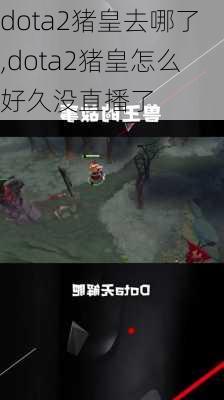 dota2猪皇去哪了,dota2猪皇怎么好久没直播了