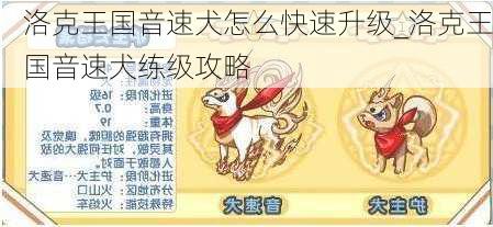 洛克王国音速犬怎么快速升级_洛克王国音速犬练级攻略