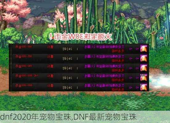 dnf2020年宠物宝珠,DNF最新宠物宝珠