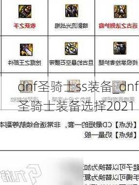 dnf圣骑士ss装备_dnf圣骑士装备选择2021