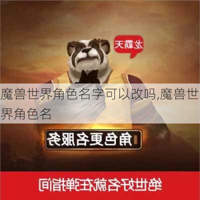 魔兽世界角色名字可以改吗,魔兽世界角色名