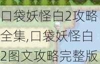 口袋妖怪白2攻略全集,口袋妖怪白2图文攻略完整版