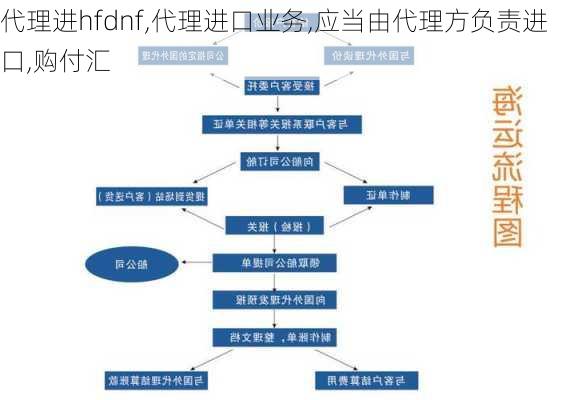 代理进hfdnf,代理进口业务,应当由代理方负责进口,购付汇