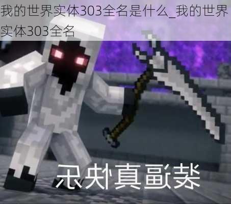 我的世界实体303全名是什么_我的世界实体303全名