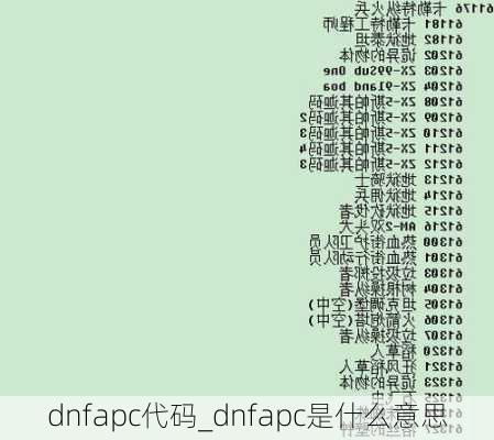 dnfapc代码_dnfapc是什么意思