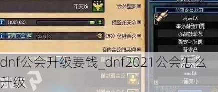 dnf公会升级要钱_dnf2021公会怎么升级