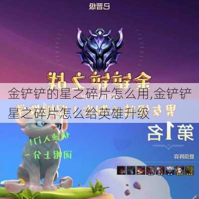 金铲铲的星之碎片怎么用,金铲铲星之碎片怎么给英雄升级